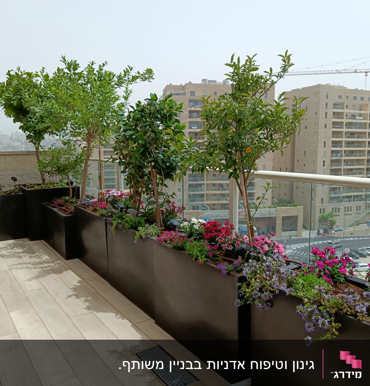 עציצים עם פרחים ועצים קטנים במרפסת